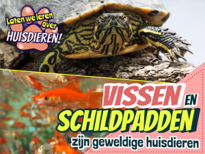 Icon image Vissen en schildpadden zijn geweldige huisdieren