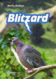 Icon image Blitzard