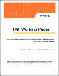 Icon image Drivers of Labor Force Participation in Advanced Economies: Macro and Micro Evidence