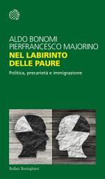 Icon image Nel labirinto delle paure: Politica, precarietà e immigrazione