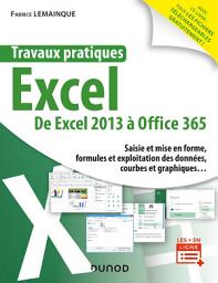 Icon image Travaux pratiques - Excel - Toutes versions 2013 à 2019 et Office 365: Toutes versions 2013 à 2019 et Office 365