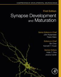 Icon image Synapse Development and Maturation: Comprehensive Developmental Neuroscience