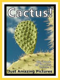 Icon image Just Cactus! vol. 1: Big Book of Photographs & Cacti Plant Pictures