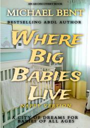 Icon image Where Big Babies Live - nappy version: An ABDL novel