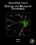 Icon image Sorting and Recycling Endosomes