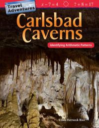 Icon image Travel Adventures: Carlsbad Caverns: Identifying Arithmetic Patterns: Read-along ebook