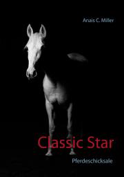 Icon image Classic Star: Ausgabe 4