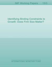 Icon image Identifying Binding Constraints to Growth: Does Firm Size Matter?