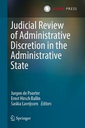 Icon image Judicial Review of Administrative Discretion in the Administrative State