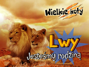 Icon image Lwy: jesteśmy rodziną