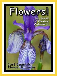 Icon image Just Flowers! vol. 2: Big Book of Flower Plants Photographs & Pictures