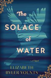 Icon image The Solace of Water: A Novel