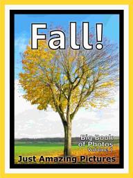 Icon image Just Fall! vol. 1: Big Book of Photographs & Fall Autumn Season Pictures