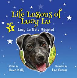 Icon image Life Lessons of Lucy Lu