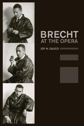 Icon image Brecht at the Opera