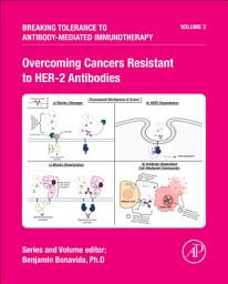 Icon image Overcoming Cancers Resistant to HER-2 Antibodies