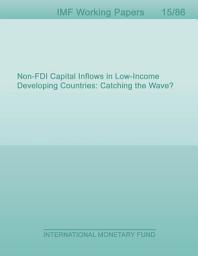 Icon image Non-FDI Capital Inflows in Low-Income Developing Countries: Catching the Wave?