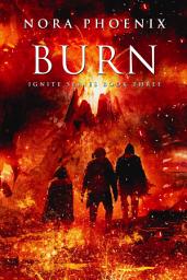 Icon image Burn: A Dystopian Slow Burn Gay Romance