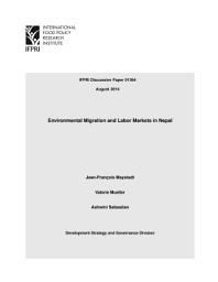 Icon image Environmental migration and labor markets in Nepal