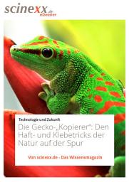 Icon image Die Gecko-"Kopierer": Den Haft- und Klebetricks der Natur auf der Spur