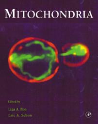 Icon image Mitochondria