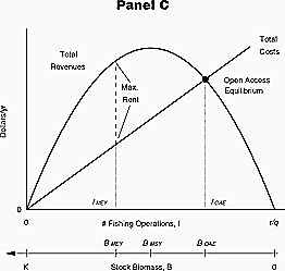 Icon image Sharing the Fish: Toward a National Policy on Individual Fishing Quotas