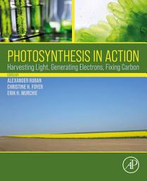 Icon image Photosynthesis in Action: Harvesting Light, Generating Electrons, Fixing Carbon