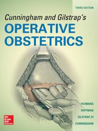 Icon image Cunningham and Gilstrap's Operative Obstetrics, Third Edition: Edition 3