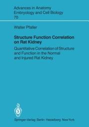 Icon image Structure Function Correlation on Rat Kidney: Quantitative Correlation of Structure and Function in the Normal and Injured Rat Kidney