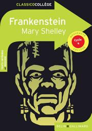 Icon image Frankenstein de Mary Shelley