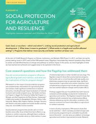 Icon image Social protection for agriculture and resilience: Highlights, lessons learned, and priorities for One CGIAR