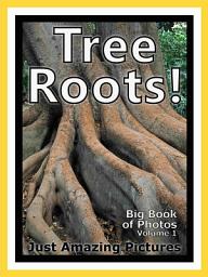 Icon image Just Tree Roots! vol. 1: Big Book of Roots from Trees Photographs & Pictures