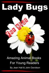 Icon image Lady Bugs – For Kids – Amazing Animal Books for Young Readers