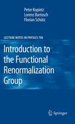 Icon image Introduction to the Functional Renormalization Group