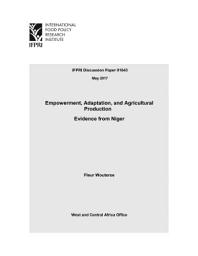 Icon image Empowerment, adaptation, and agricultural production: Evidence from Niger