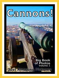 Icon image Just Cannons! vol. 1: Big Book of Photographs & Cannon Artillery Pictures