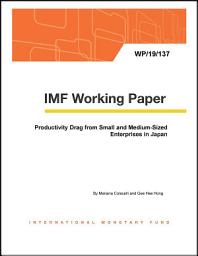 Icon image Productivity Drag from Small and Medium-Sized Enterprises in Japan