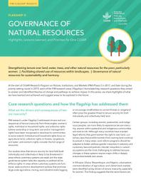 Icon image Governance of natural resources: Highlights, lessons learned, and priorities for One CGIAR