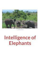 Icon image Intelligence of Elephants