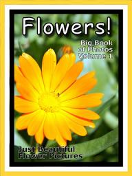 Icon image Just Flowers! vol. 1: Big Book of Flower Plants Photographs & Pictures