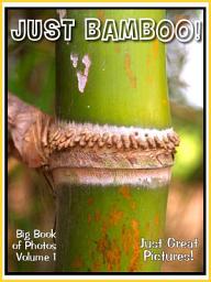 Icon image Just Bamboo! vol. 1: Big Book of Photographs & Bamboo Plant Pictures