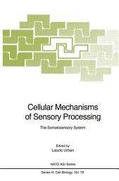 Icon image Cellular Mechanisms of Sensory Processing: The Somatosensory System