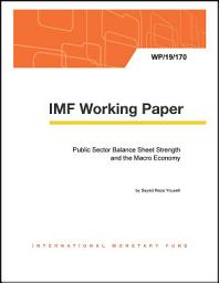 Icon image Public Sector Balance Sheet Strength and the Macro Economy