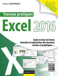 Icon image Travaux pratiques avec Excel 2016: Saisie et mise en forme, formules et exploitation des données, courbes et graphiques...