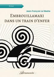 Icon image Embrouillamaxi dans un train d’enfer