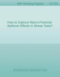 Icon image How to Capture Macro-Financial Spillover Effects in Stress Tests?