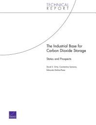 Icon image The Industrial Base for Carbon Dioxide Storage: Status and Prospects