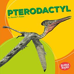 Icon image Pterodactyl