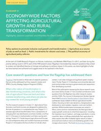 Icon image Economywide factors affecting agricultural growth and rural transformation: Highlights, lessons learned, and priorities for One CGIAR